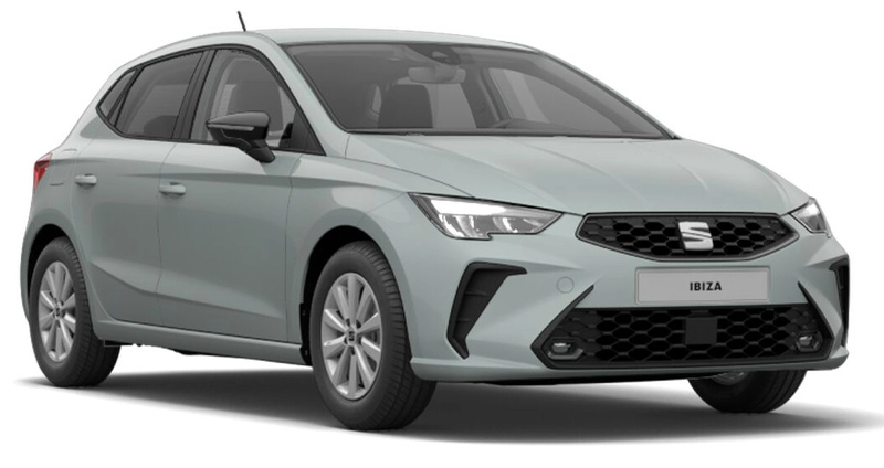 Seat Ibiza1.0 L MPI Reference Manual